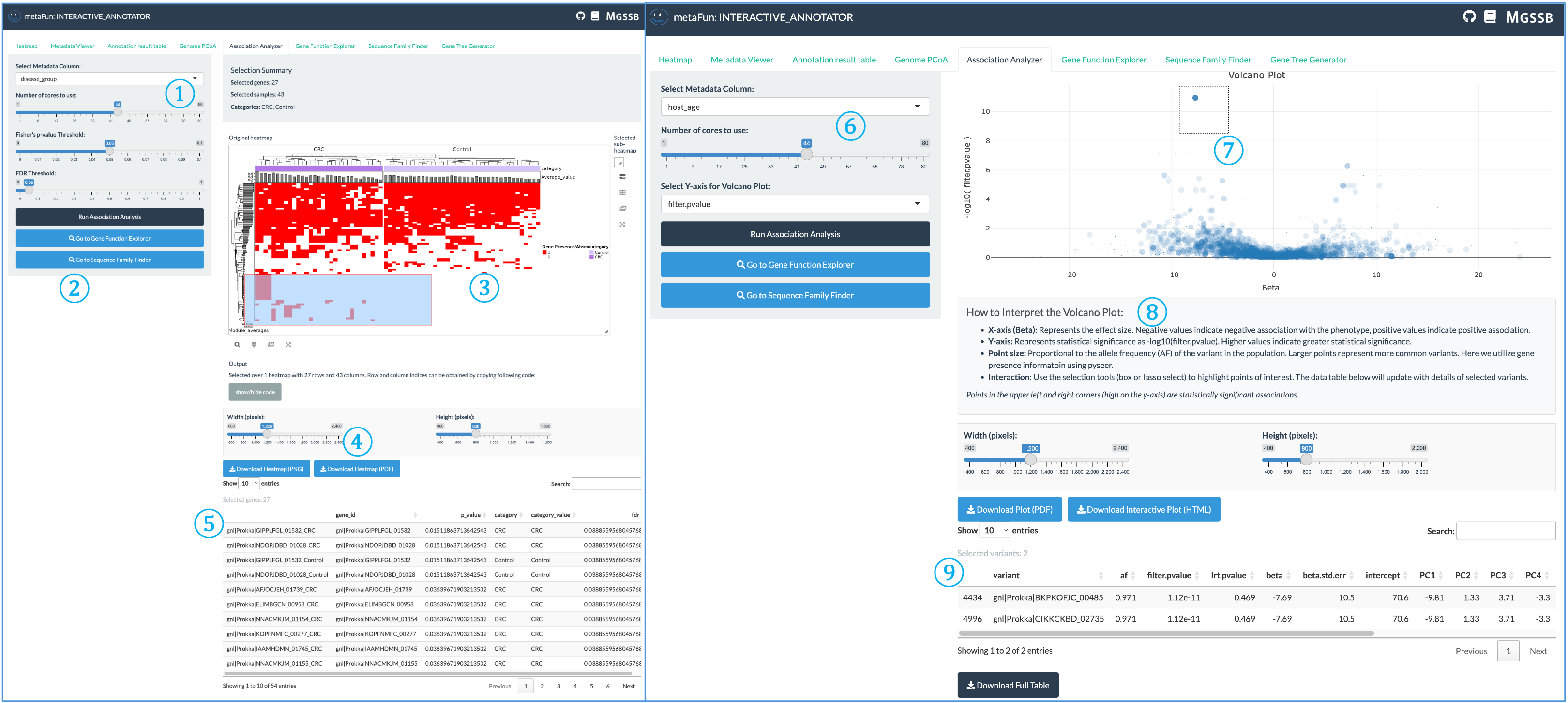 Association Analyzer