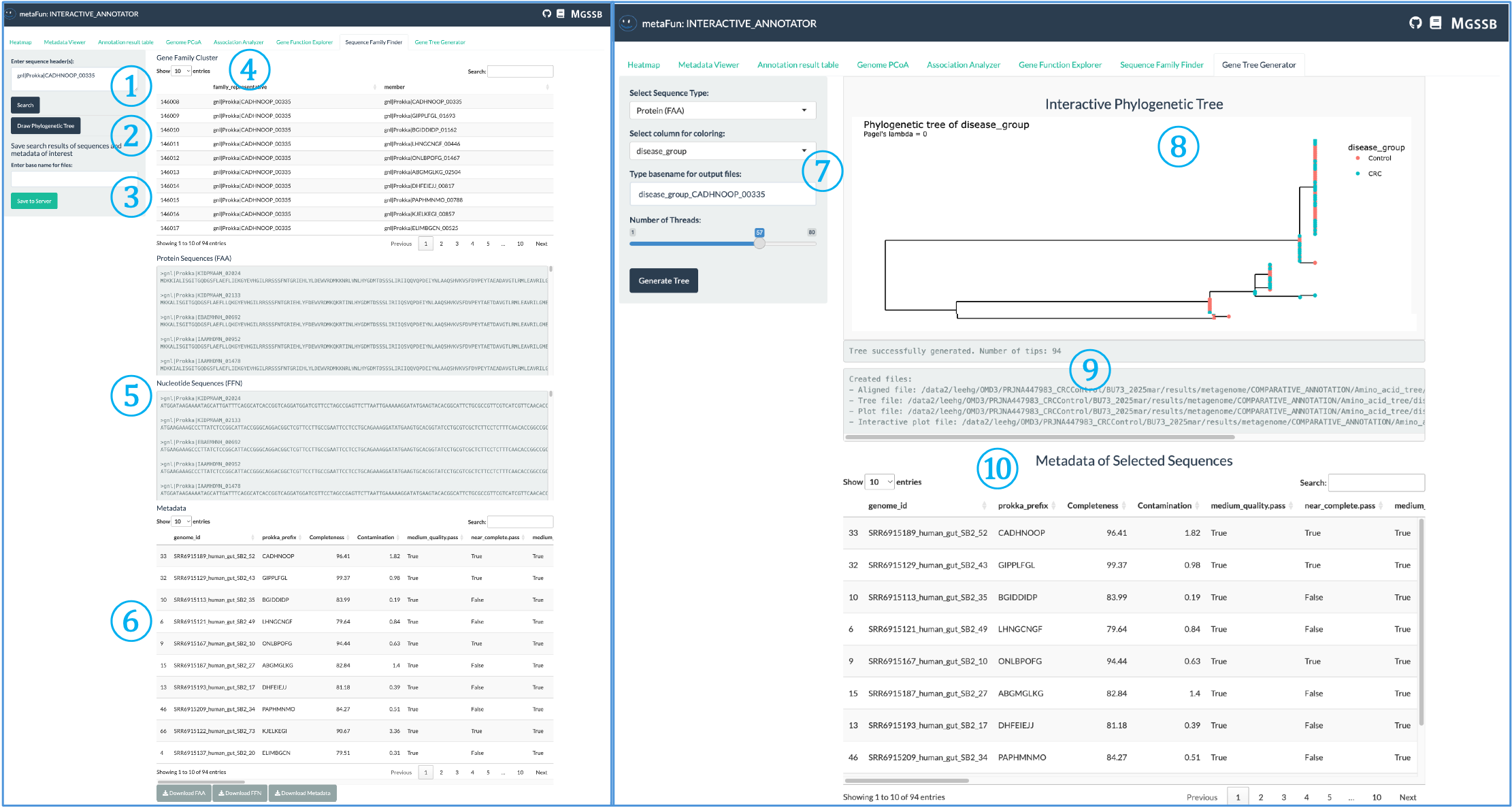 Sequence Family Finder and Gene Tree Generator