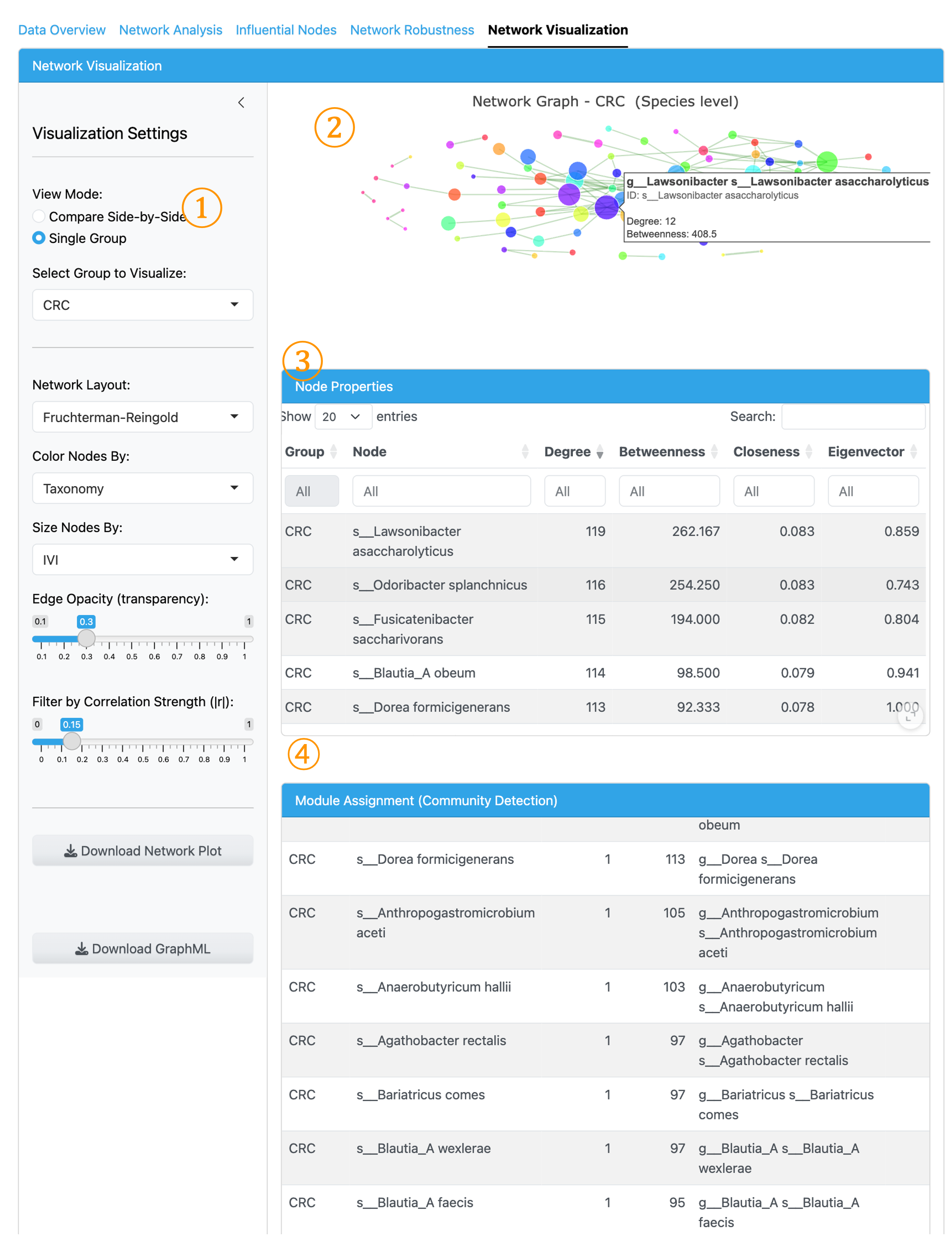 Network Visualization