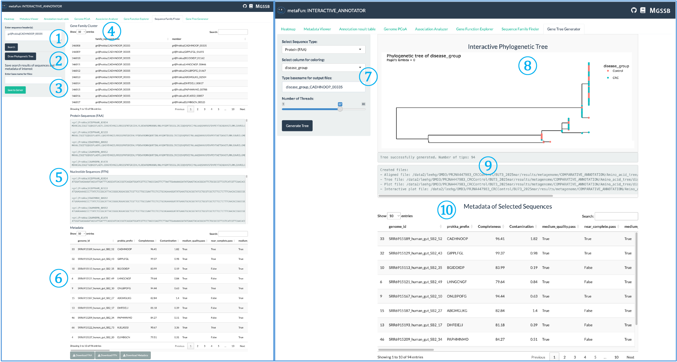Sequence Family Finder and Gene Tree Generator