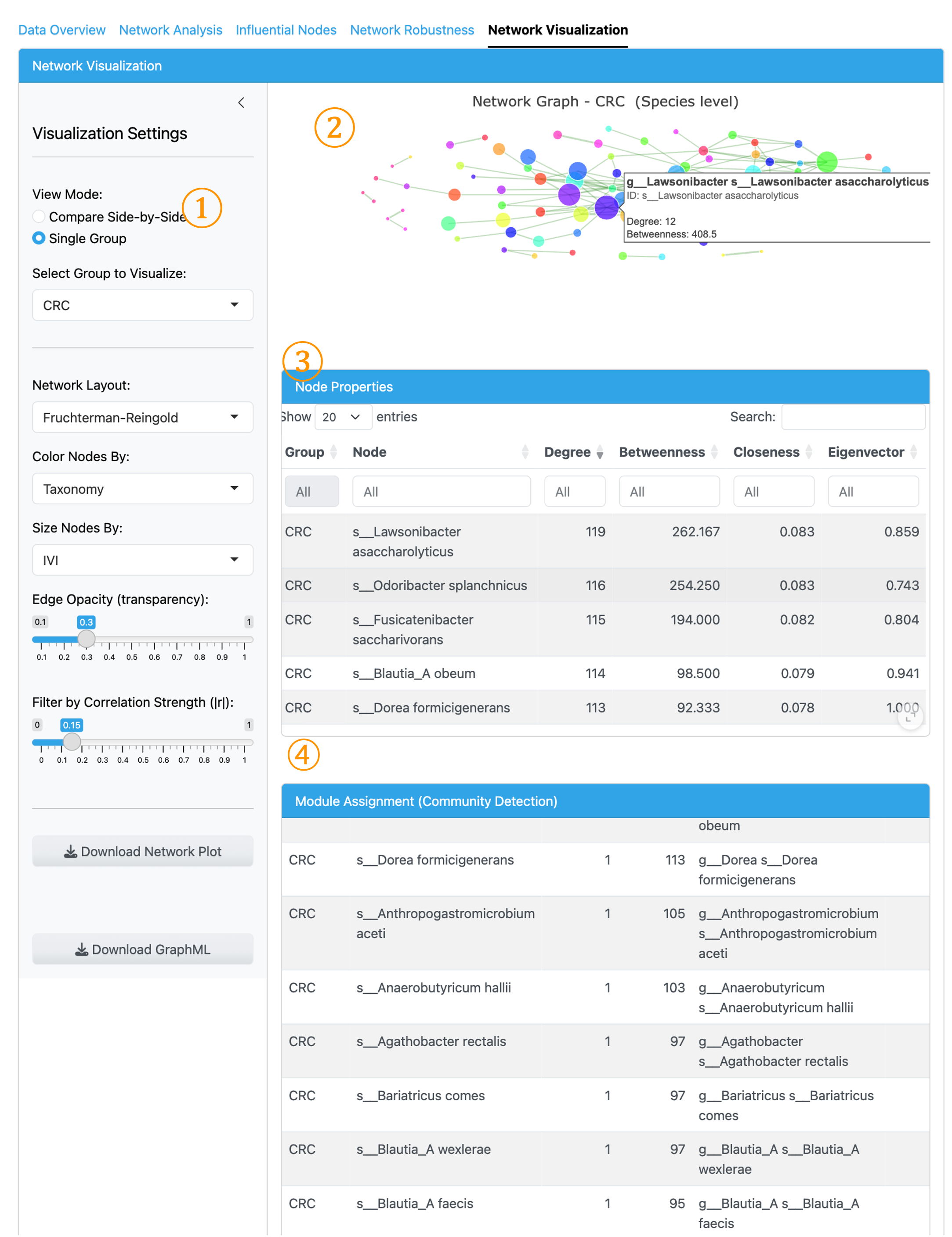 Network Visualization